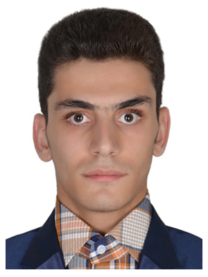 مهدی ایران نژاد