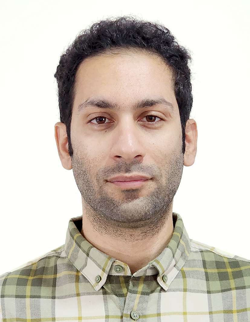 محمد رضا دومیری گنجی