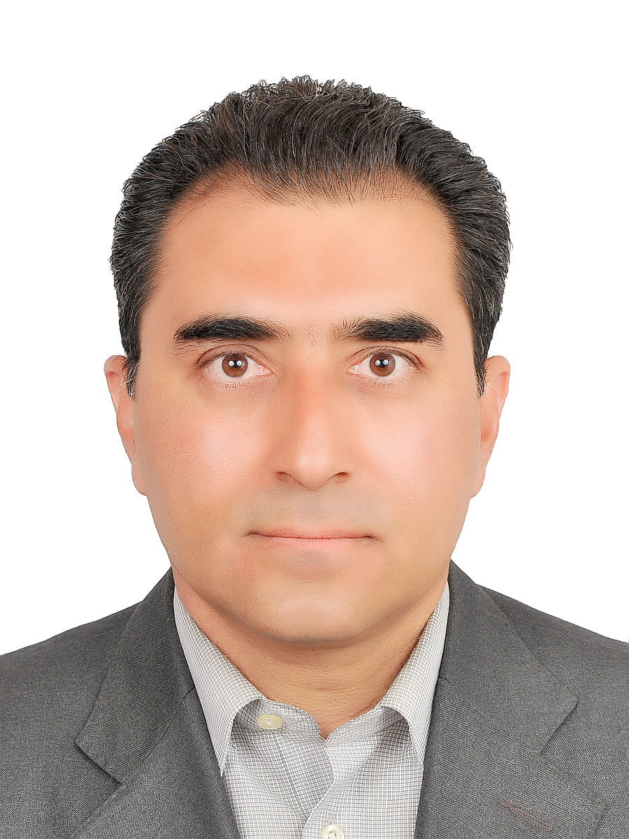 محمد رضا حمیدی مهر